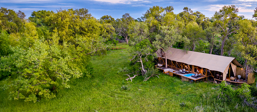 Luxury safari tent at Tuludi Camp, surrounded by lush greenery and leadwood trees, featuring a private plunge pool and spacious deck with sunken seating area.