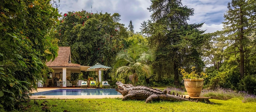 The sweeping garden grounds of Hamilton House, with the swimming pool and striped umbrella visible beneath towering trees and a large decorative crocodile sculpture resting on the lawn