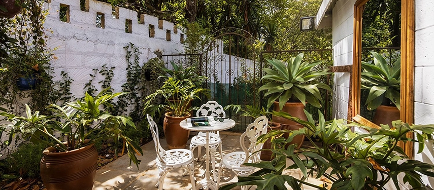 A private garden courtyard at Hamilton House with ornate white cast-iron chairs and table set amid large potted tropical plants, climbing greenery and a wrought-iron gate