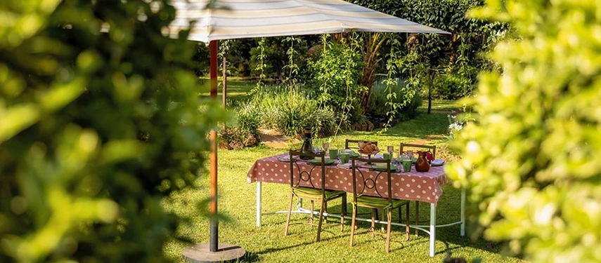 A garden dining setting at Hamilton House with a polka-dot tablecloth, laid table for six and a large umbrella, glimpsed through lush foliage in bright afternoon light