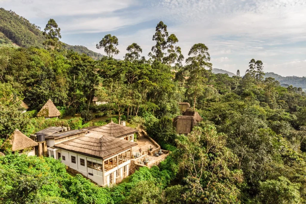 Aerial view of Bwindi Lodge, a thatched safari lodge surrounded by the rainforest of Bwindi Impenetrable National Park, Uganda