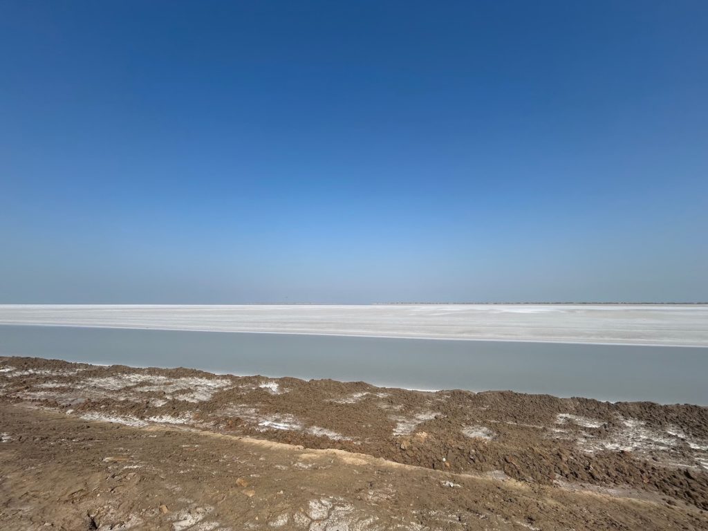 White salt flats meeting a clear blue sky, Rann of Kutch near the resort