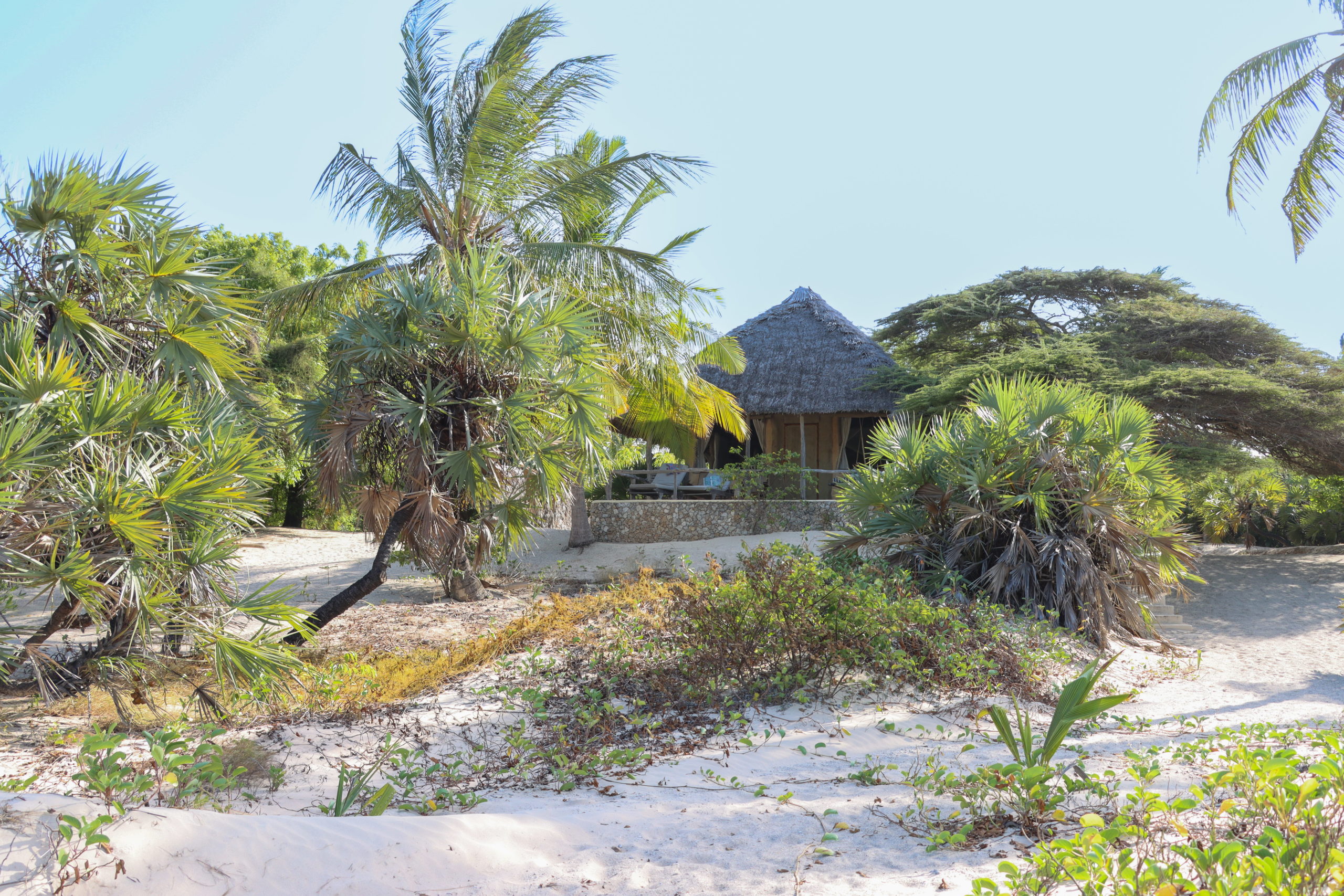 Thatched cottage on a stone platform behind sand dunes, doum palms and coastal scrub on Manda Island, Kenya.