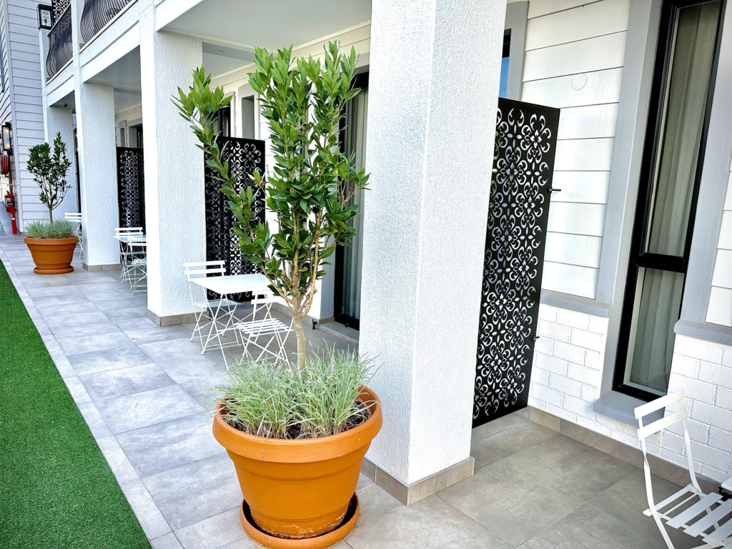 Courtyard terrace at The Weinberg lined with olive trees, bistro tables and decorative screen doors