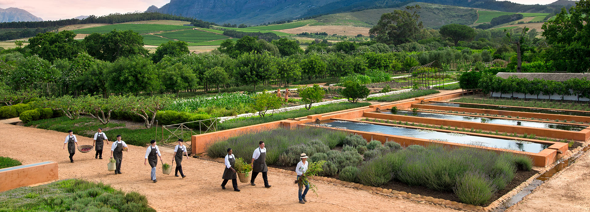Gourmet food in the Cape Winelands South Africa - a herb garden like no other beside Babel Restaurant