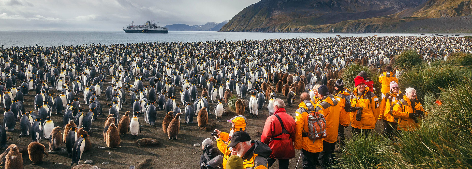 Walking among penguins in Antarctica with Quark Expeditions