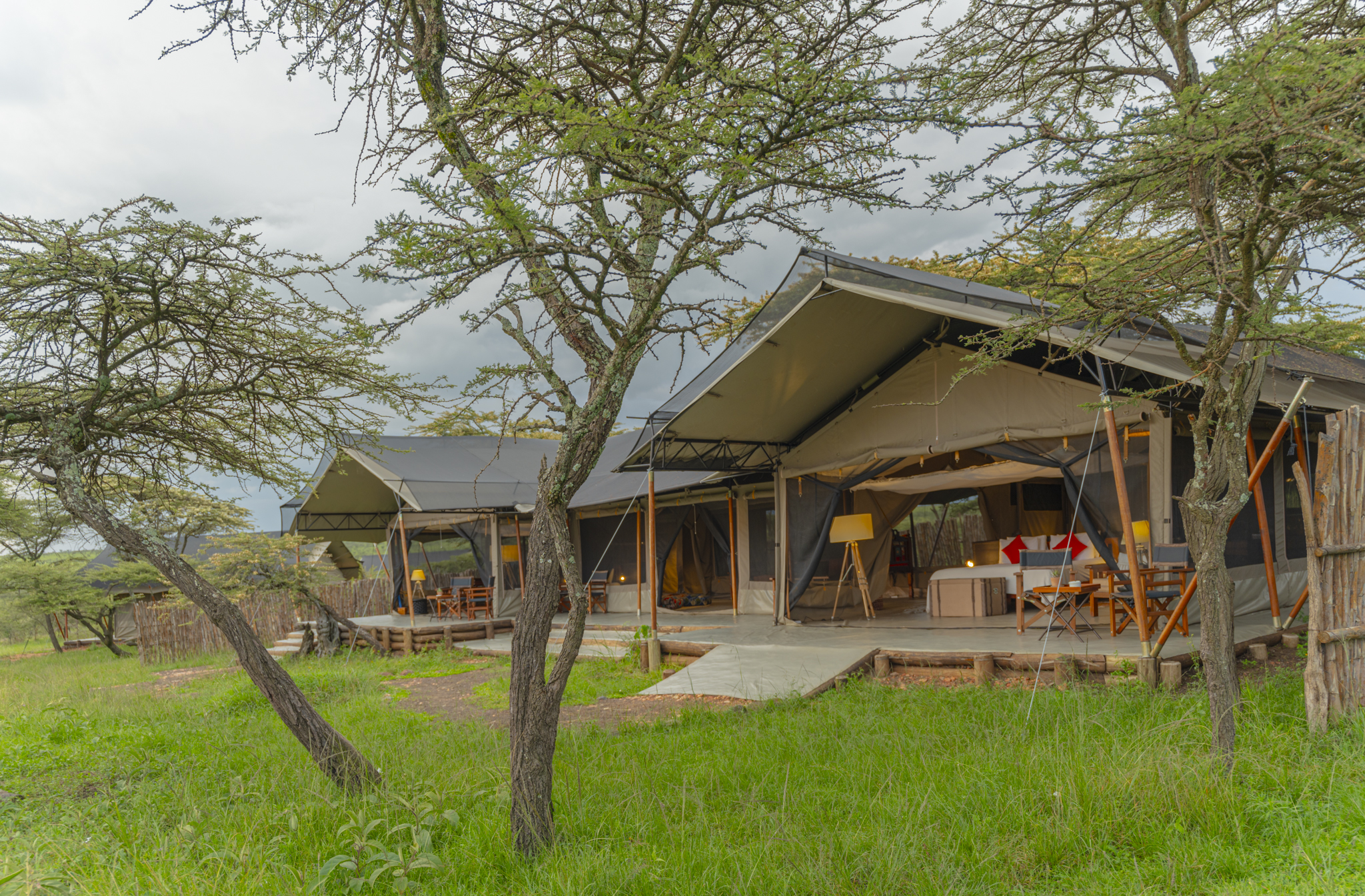 Two family tents linked by a shared deck under acacia trees, with an open-fronted bedroom, tripod lamp and director's chairs on a cloudy day.