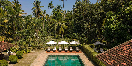 Swimming pool surrounded by trees at a luxurious colonial-style hotel in Sri Lanka