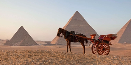 A horse-drawn carriage rests before the Pyramids of Giza in the warm desert light.