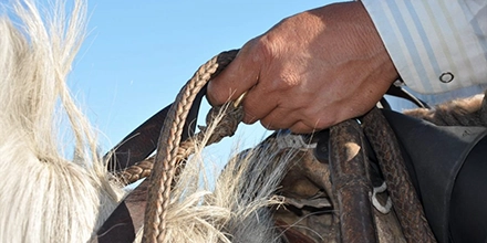 Close-up of a gaucho&rsquo;s hand holding leather reins while riding at Estancia Don Joaqu&iacute;n.