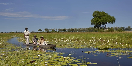 A traditional mokoro carrying guests through a carpet of white water lilies in the Okavango Delta, poled by a standing guide with a lone tree on the distant horizon.