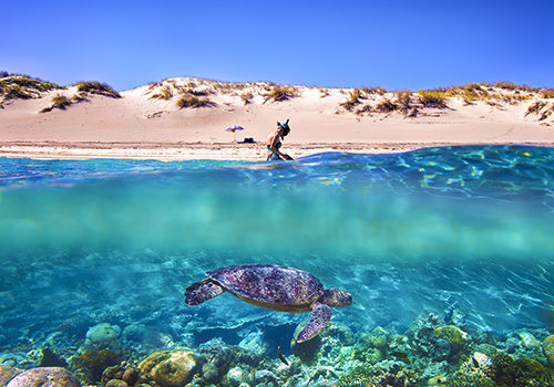 Australia