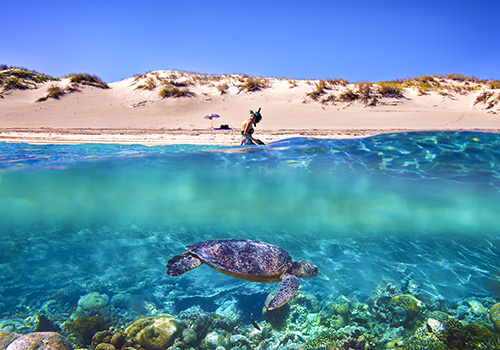 Australia