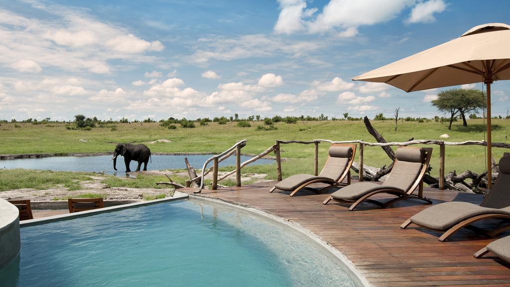 A lone elephant wades through a waterhole directly in front of the pool deck at Somalisa Bush Camp, with timber sun loungers and a shade umbrella in the foreground and open green floodplains stretching to the horizon, Hwange National Park, Zimbabwe.