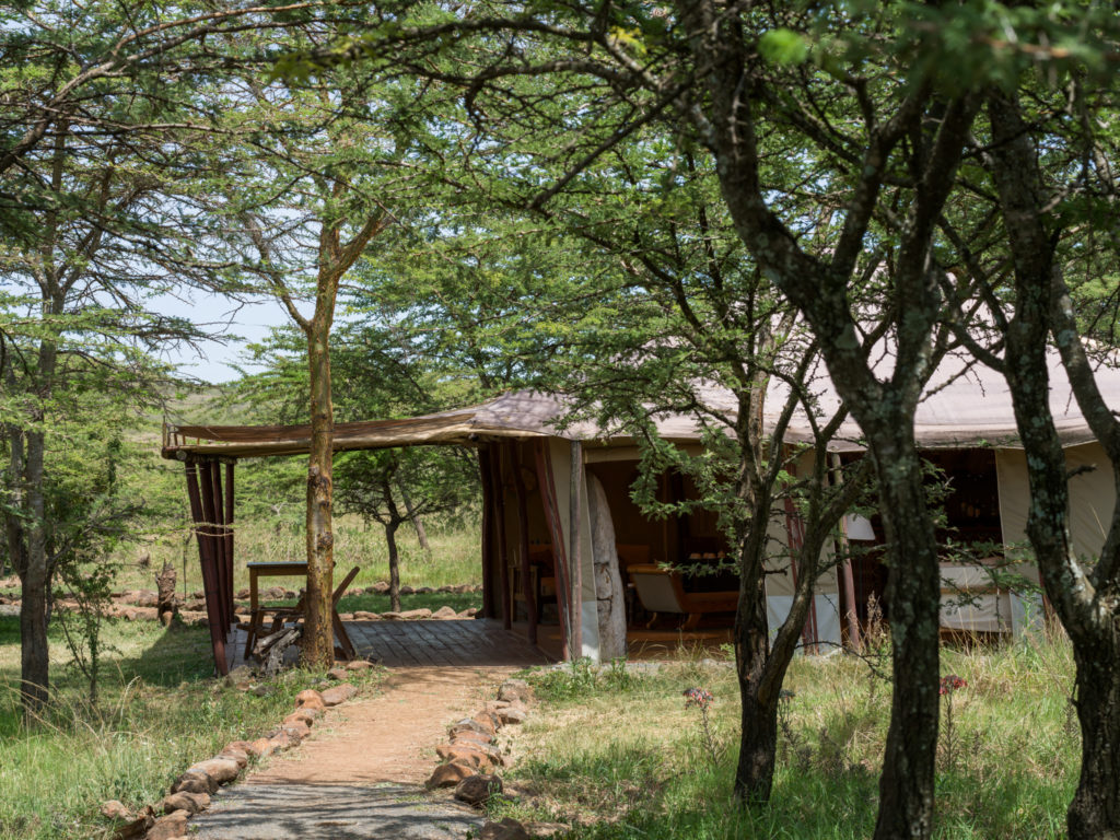 Stone-edged path leading through acacia trees to Kandili Camp's dining tent, with a shaded wooden deck and seating at the entrance.