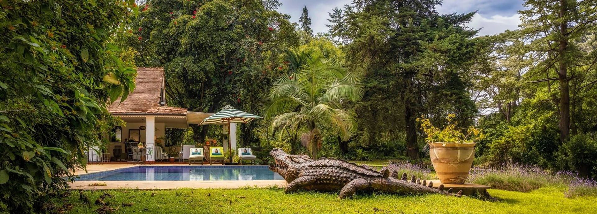 A wide-angle garden view of Hamilton House showing the swimming pool, a large bronze crocodile sculpture on the lawn, the covered pool pavilion and towering trees under a partly cloudy sky