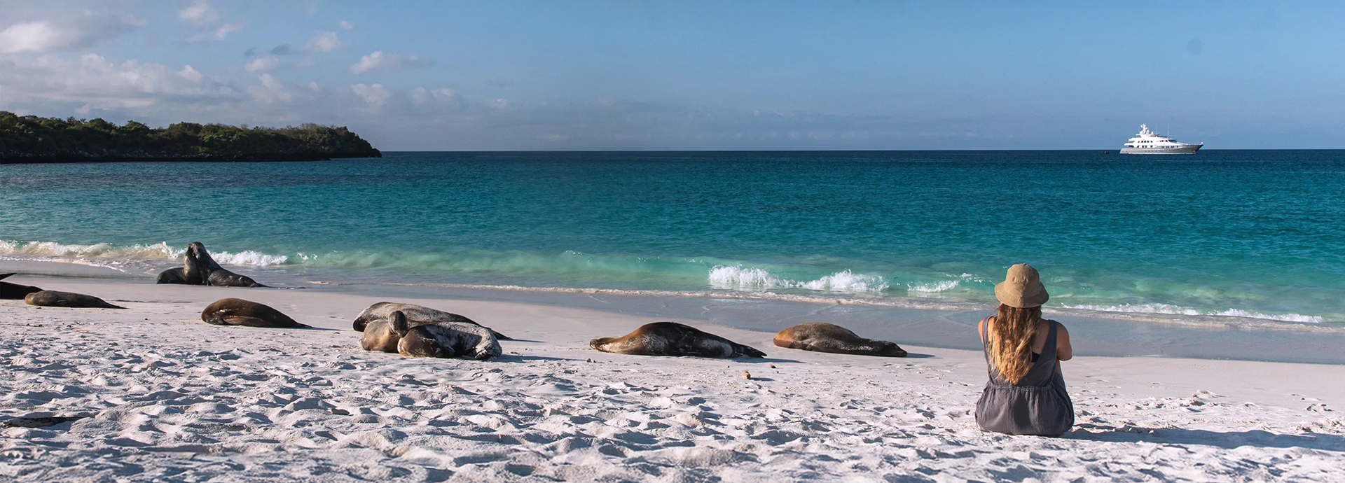 A Woman On A Luxury Expedition Cruise Sits Amongst Sea Lions On A Beach In The Galapagos