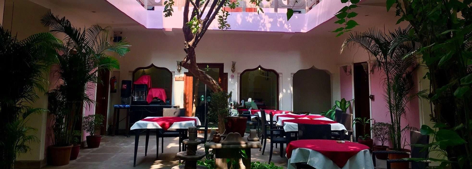 Charming courtyard restaurant with potted plants, red tablecloths, and a central tree beneath an open skylight.