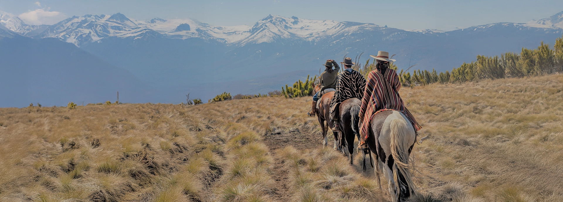 Gauchos ride on horseback across open Patagonian steppe, wrapped in traditional ponchos with snow-capped Andean peaks rising in the distance.