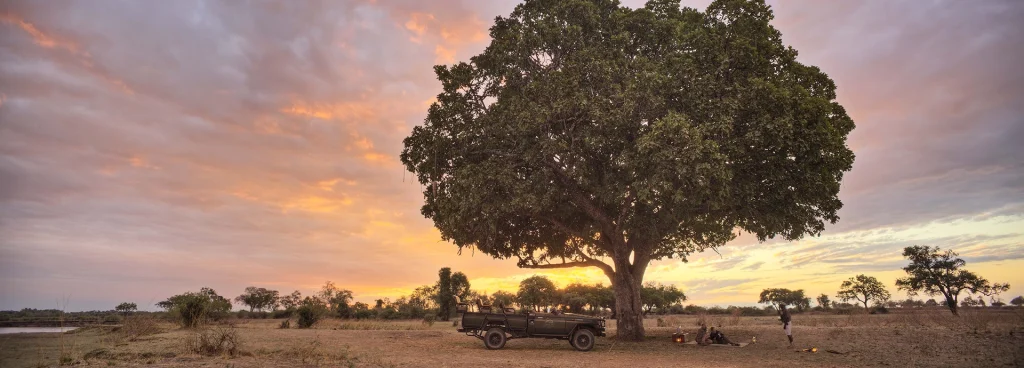 A Lion Camp game drive vehicle is parked beneath a vast, spreading tree as the South Luangwa sky burns pink and amber at sunset, guests and guides gathered on the open plains for sundowners.