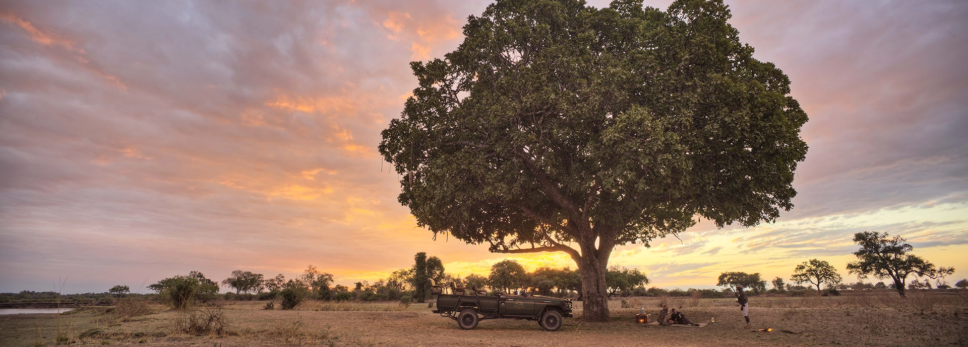 A Lion Camp game drive vehicle is parked beneath a vast, spreading tree as the South Luangwa sky burns pink and amber at sunset, guests and guides gathered on the open plains for sundowners.