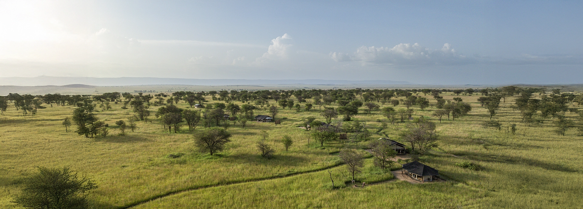 An aerial view of Nyasi Tented Camp set within the wide open plains of the Lamai Wedge, with scattered acacia trees stretching toward the Serengeti horizon.