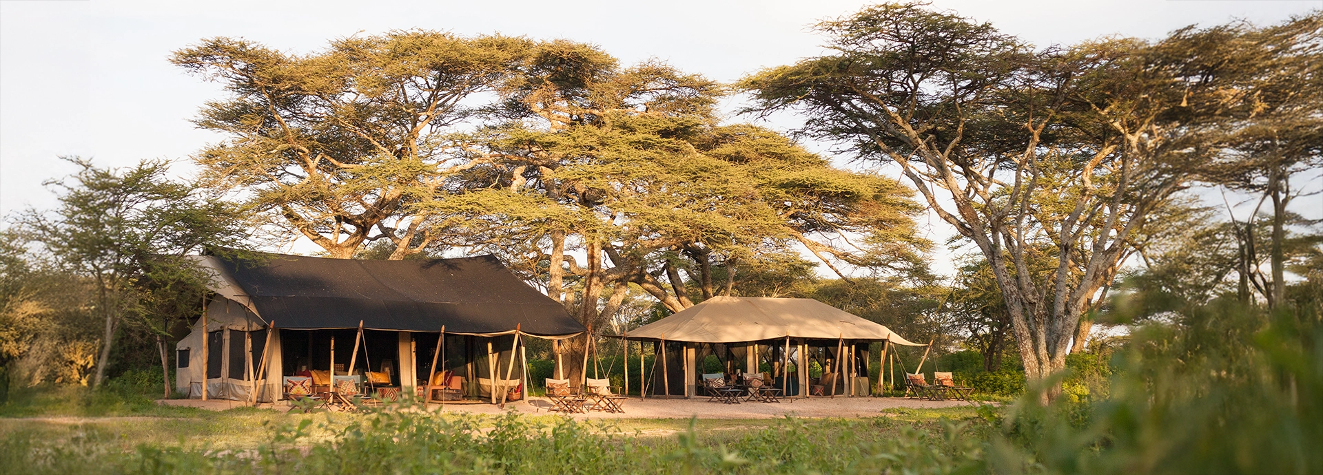 Nyasi Tented Camp’s main relaxation area sits beneath acacia trees, offering shaded seating that blends naturally into the surrounding savannah.