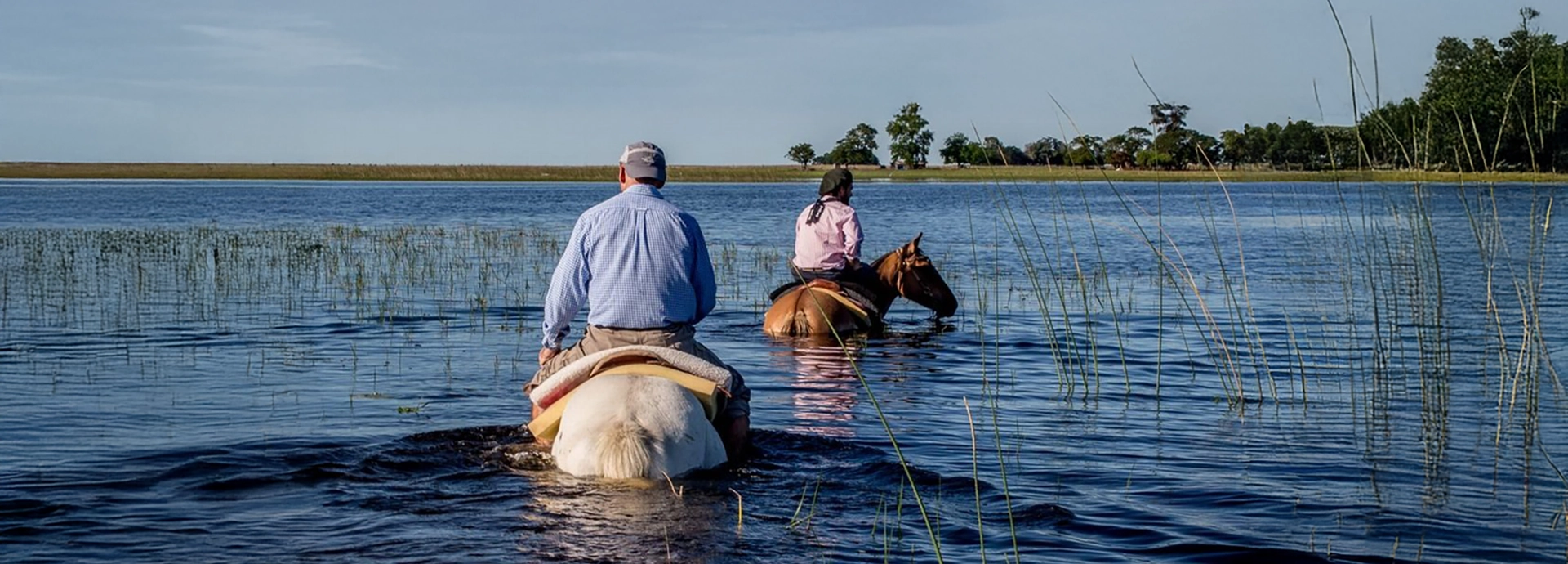 Riders on horseback wading through shallow wetland waters at Estancia Don Joaqu&iacute;n.