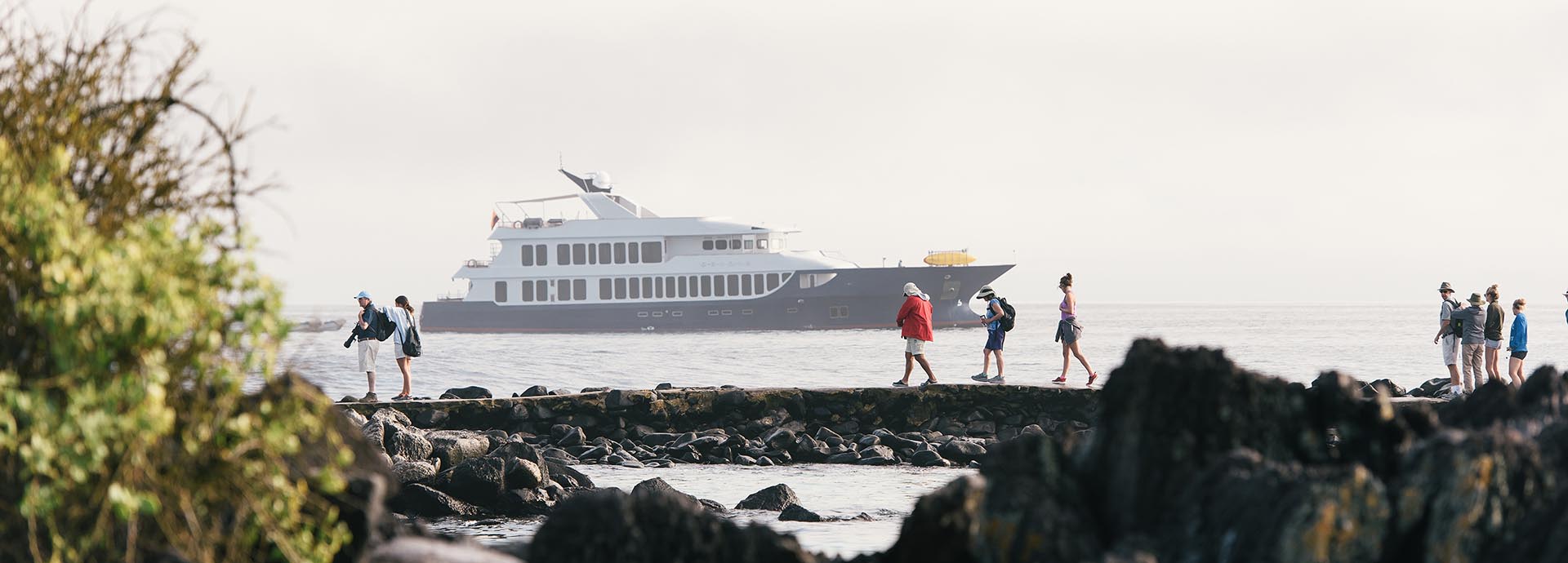 Ecoventura's MV Origin is a luxury sailing yacht that travels through the Galapagos Islands