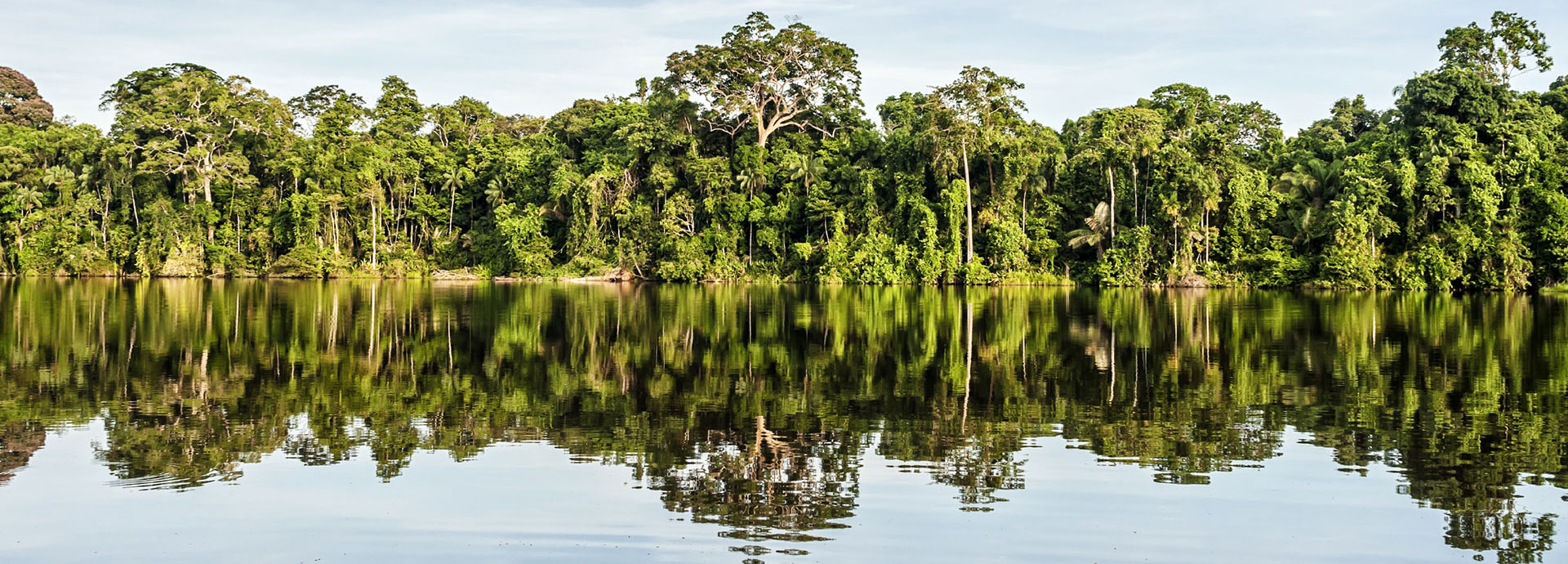 When Is The Best Time To Visit The  Rainforest In Brazil? - Rainforest  Cruises