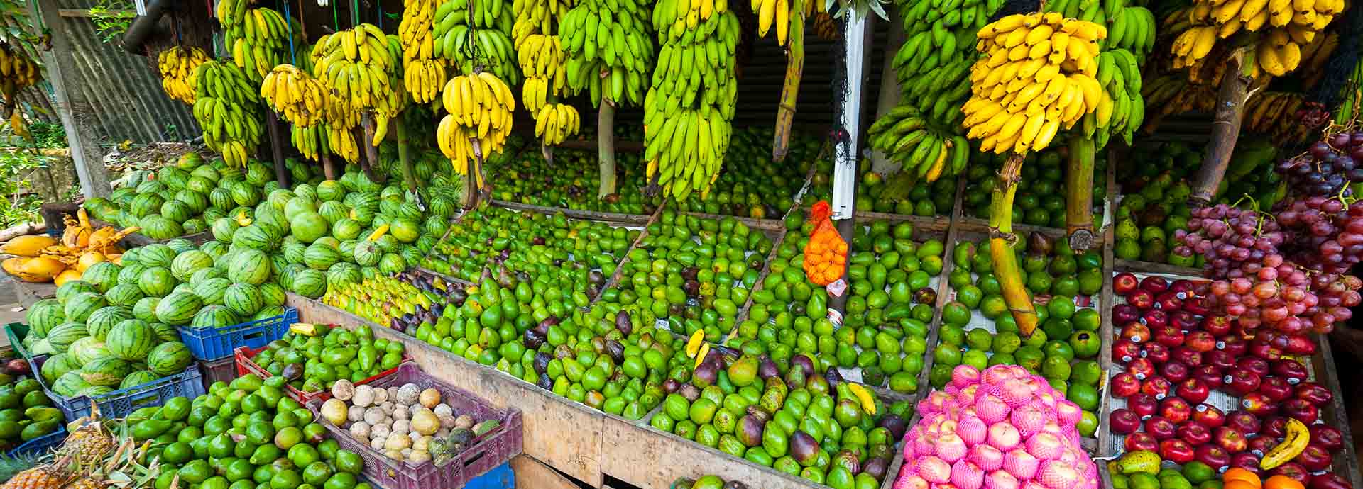 Sri Lanka abounds with tropical fruit and vegetables