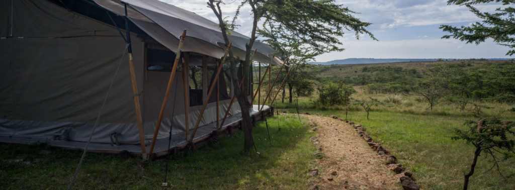 Side of a superior tent with timber guy poles and a stone-lined path running past acacias towards distant hills, Maasai Mara.