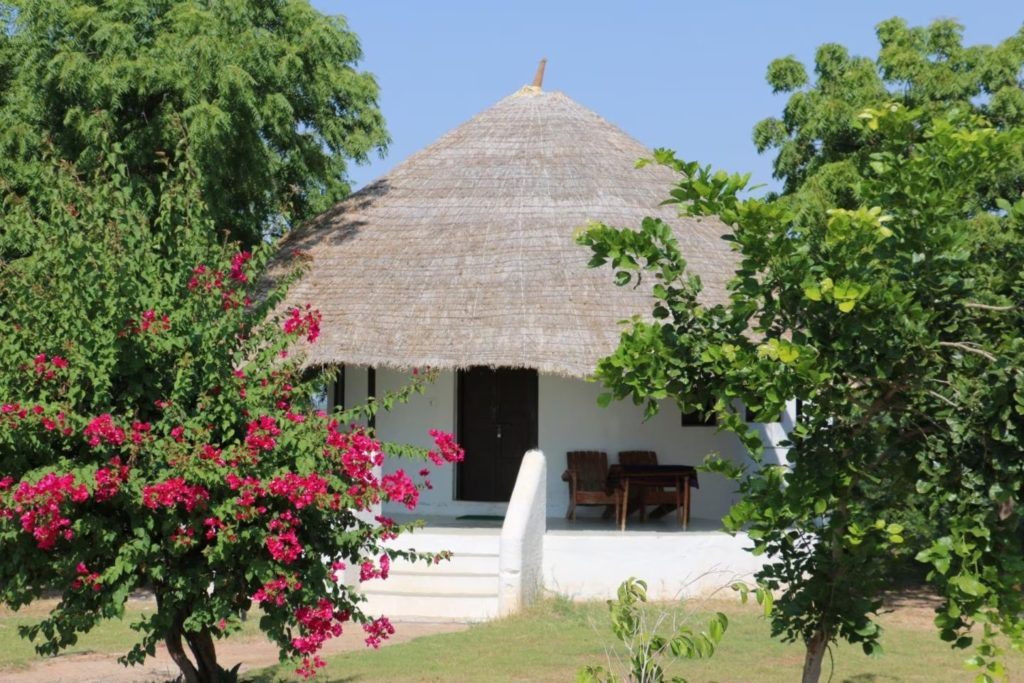 Round thatched-roof cottage framed by bougainvillea, Kutch Safari Resort
