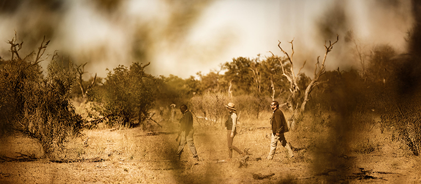 King's Pool Camp - Botswana - The Classic Safari Company