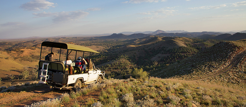 australia safari hotel