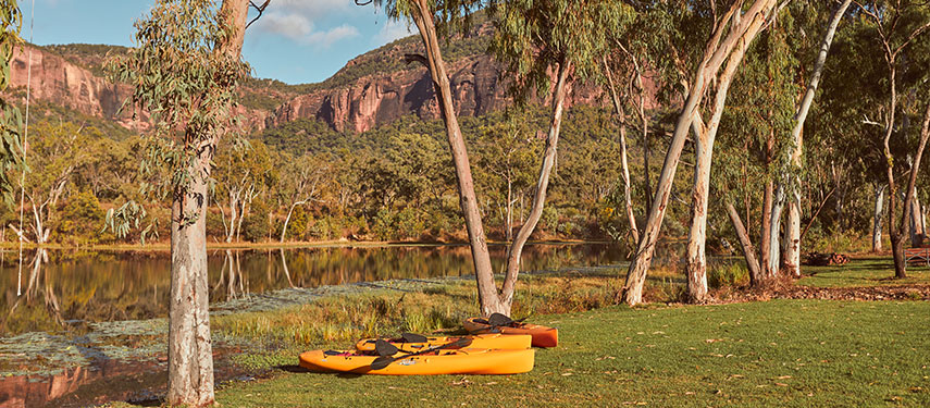 australia safari hotel