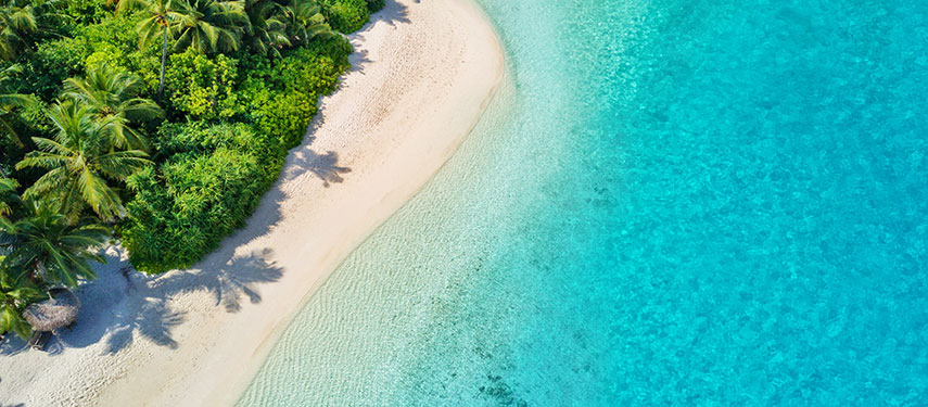 Aerial view of trees on an island in the Maldives contrasting against crystal clear ocean water