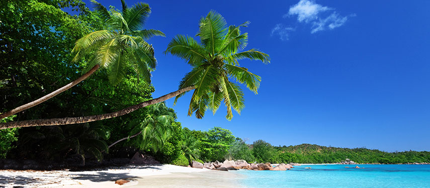 The Seychelles is home to numerous beaches, coral reefs and nature reserves