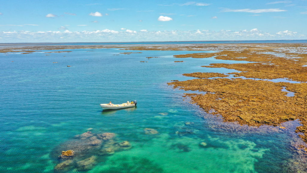 Motorboat with guests anchored over turquoise water and coral heads beside an exposed reef flat at low tide off the Kenyan coast.
