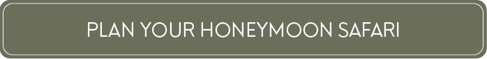 Plan your honeymoon safari
