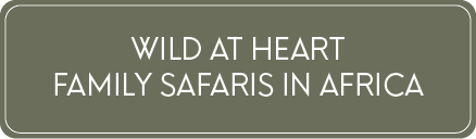 Family Safaris in Africa