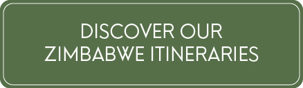 Zimbabwe safari itineraries