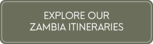 Zambia Safari Itineraries
