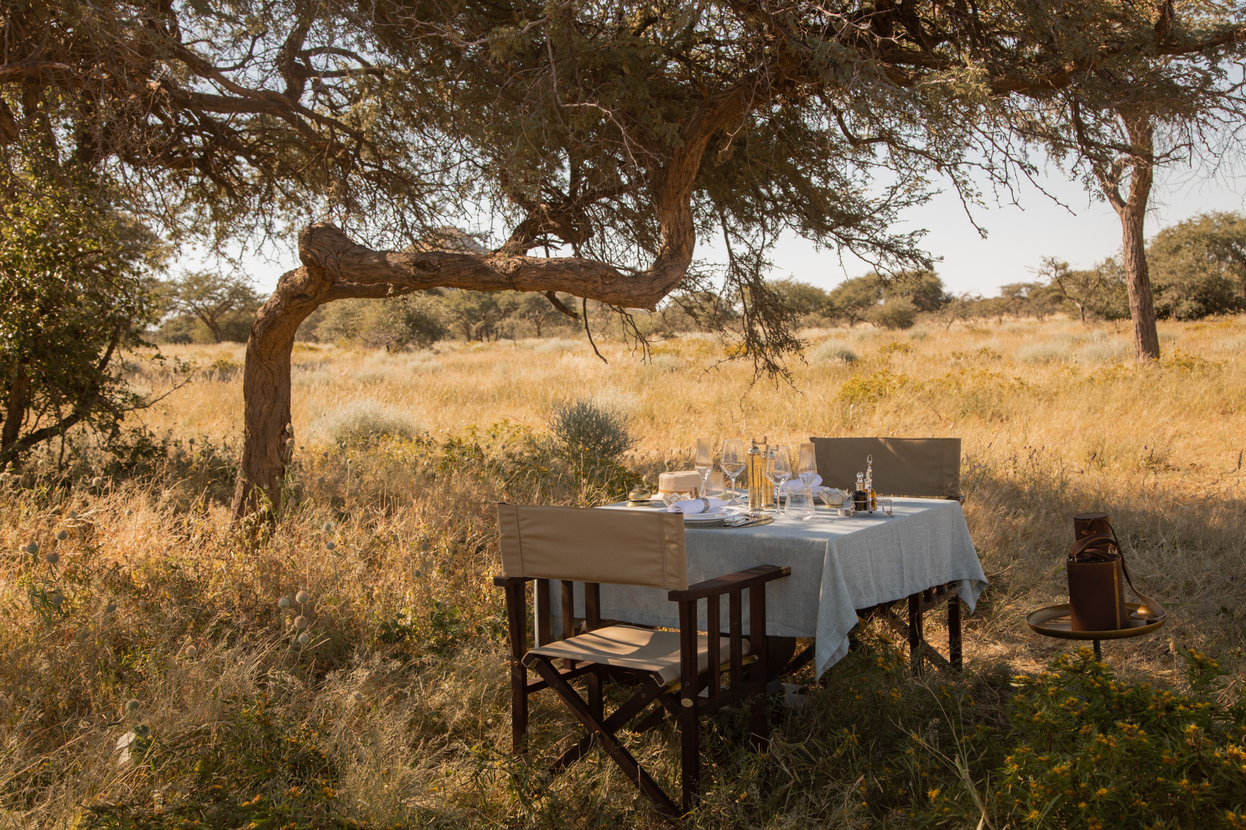 A table set for a bush lunch beneath a camelthorn tree on the Gmundner Lodge property