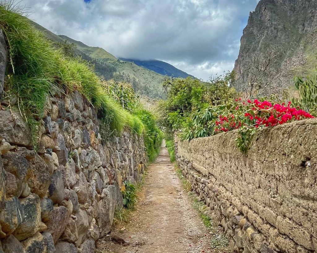 Stone-walled pathway lined with bougainvillea leading towards the mountains near Ollantaytambo