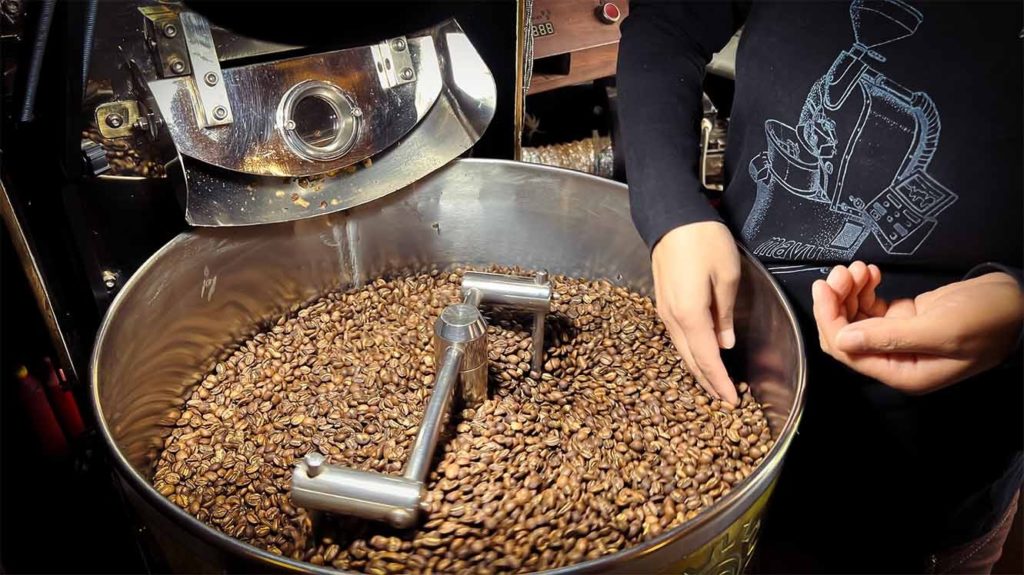 Coffee roaster tending freshly roasted beans in the drum of a roasting machine at Café Mayu
