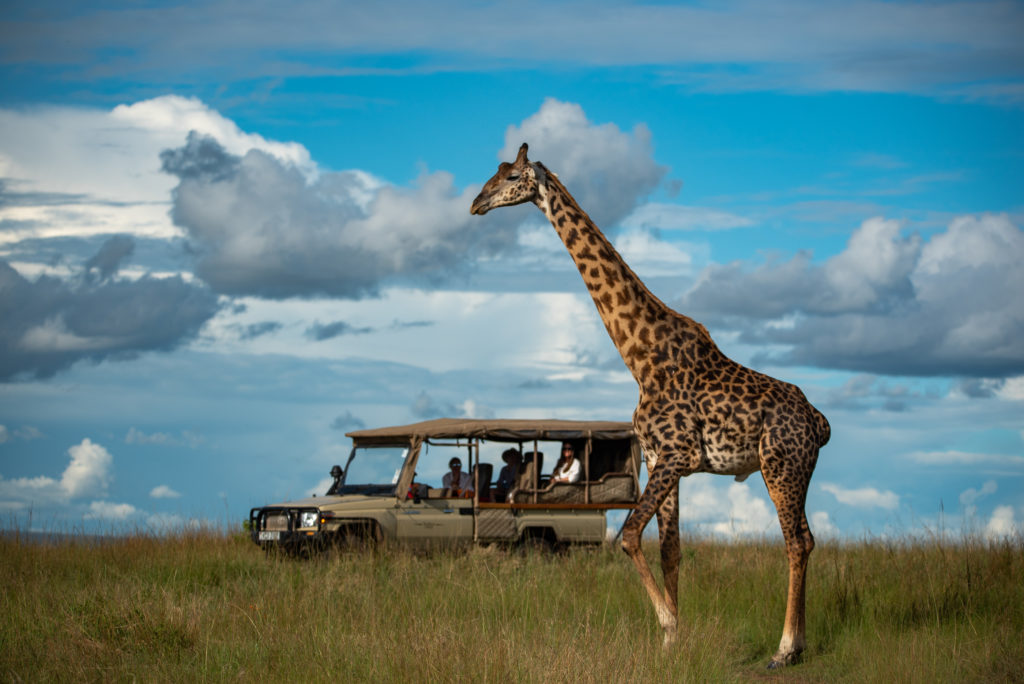 A giraffe crosses open grassland beside a safari vehicle and its guests during a game drive under a partly cloudy sky.