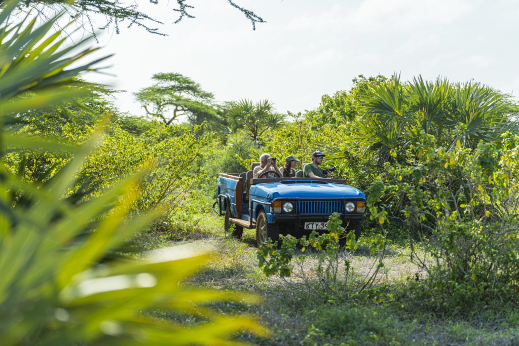 Guests with binoculars and a camera on a game drive in an open blue four-wheel drive among palms and coastal bush near Manda Bay.