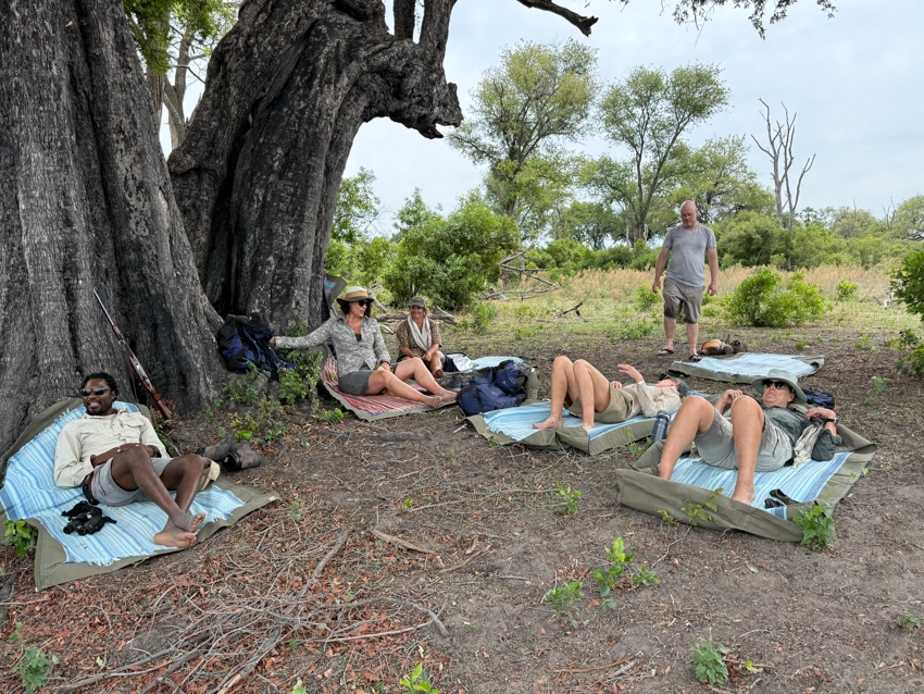 Travellers rest on bedrolls beneath an ancient tree during a walking safari, embracing simplicity and connection in a private wilderness concession. 