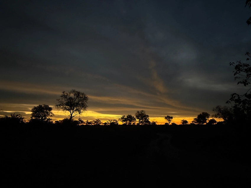 The sun sets behind silhouetted trees on the African horizon, dramatic clouds catching the last light over an expansive wilderness. 
